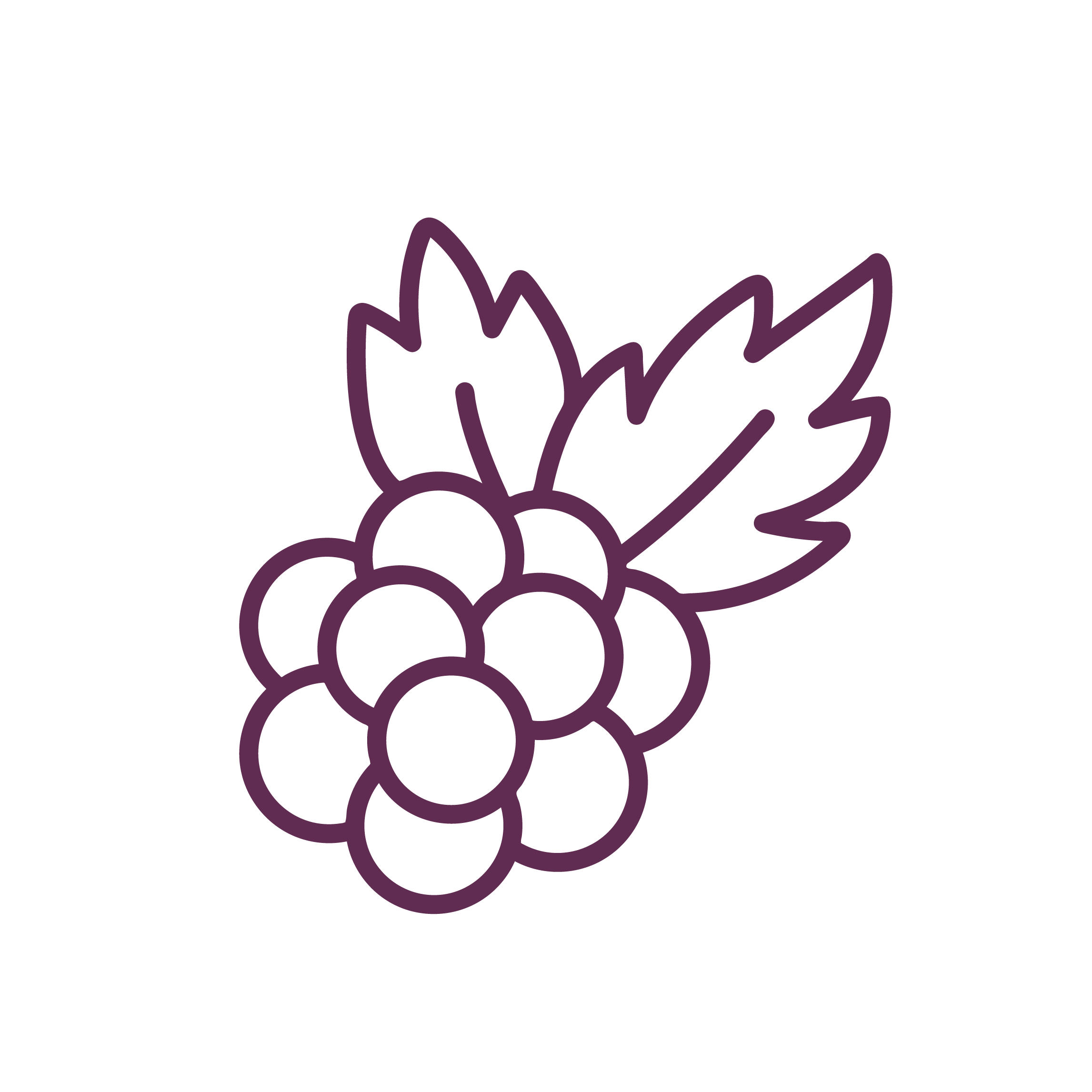 Paper Source Locations Illinois Paper Source Locations Illinois